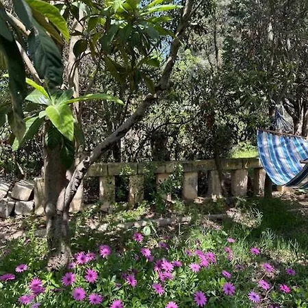 Villa Familiale Carlex